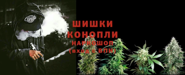 трава Беломорск