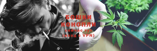 ПСИЛОЦИБИНОВЫЕ ГРИБЫ Белоозёрский