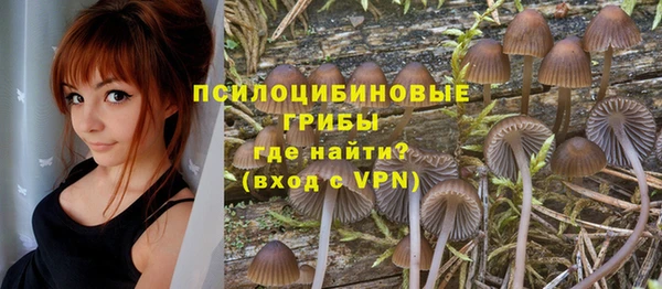 ПСИЛОЦИБИНОВЫЕ ГРИБЫ Белоозёрский