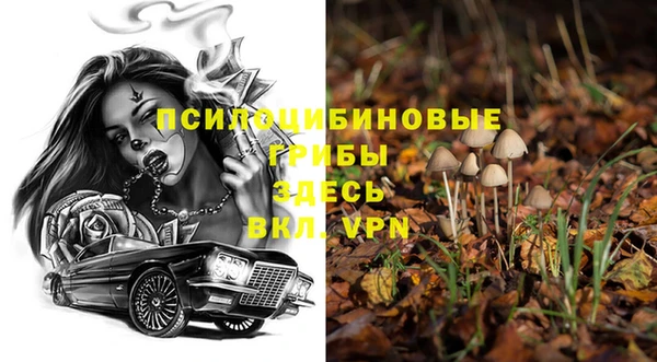 ALPHA-PVP Богородицк