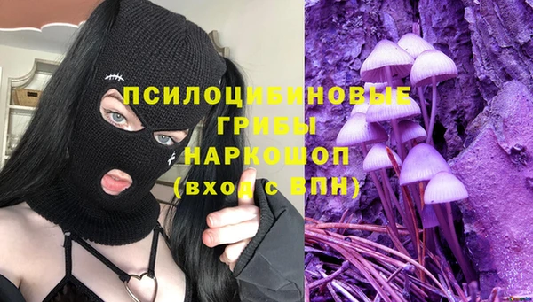трава Беломорск