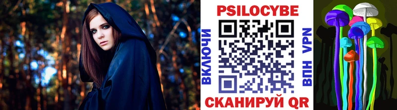 Купить закладки  Удомля  Галлюциногенные грибы мухоморы 