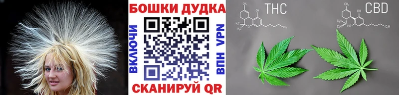Купить закладки  Удомля  МАРИХУАНА планчик 